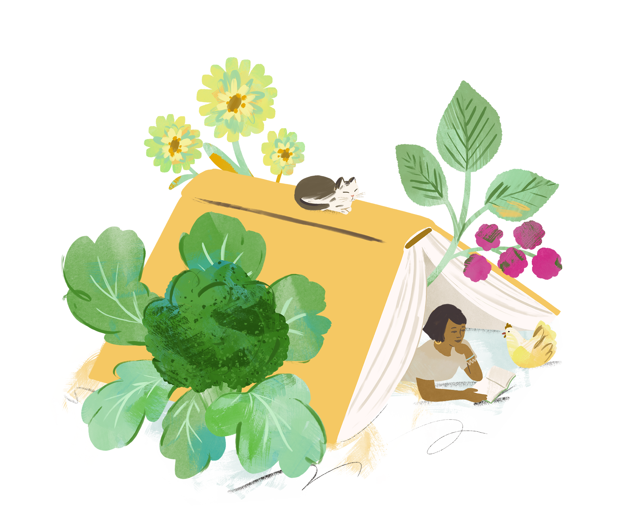 Summer Reading Program